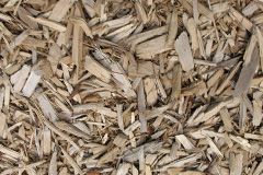 biomass boilers Greylees